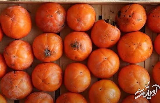 چطور با بدنی سالم به استقبال پاییز برویم؟ چطور با بدنی سالم به استقبال پاییز برویم؟